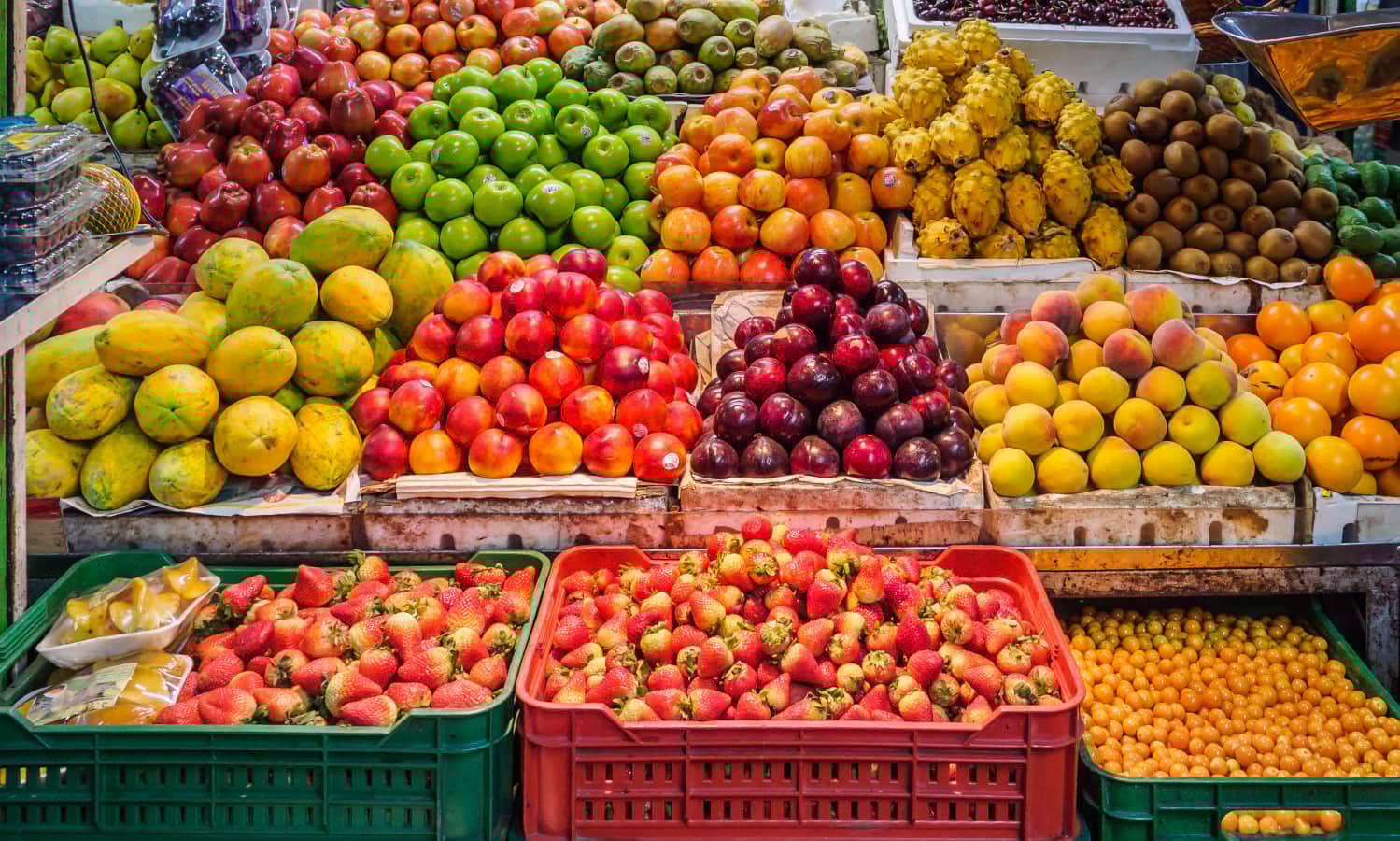 EAT-Lancet 2.0 Commission Revises Guidance for Healthy, Diverse Diets, and Sustainable Food Systems