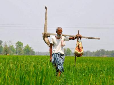 Agriculture News : खेती में इस केमिकल के उपयोग पर सरकार ने लगाया बैन, सुरक्षा कारणों का दिया हवाला