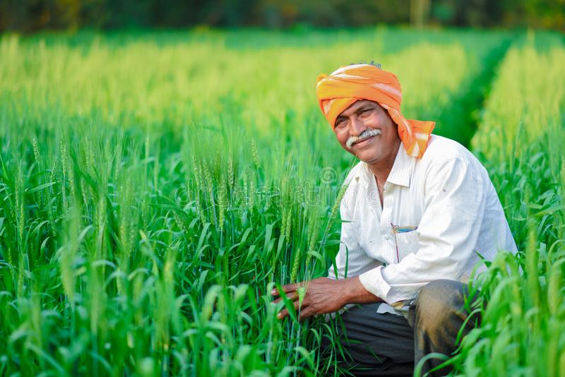 Govt says number of beneficiaries under PM-KISAN has crossed 10 crore
